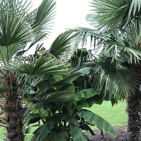 Ferienwohnung Palmengarten Lichtenstein  Kültér fotó