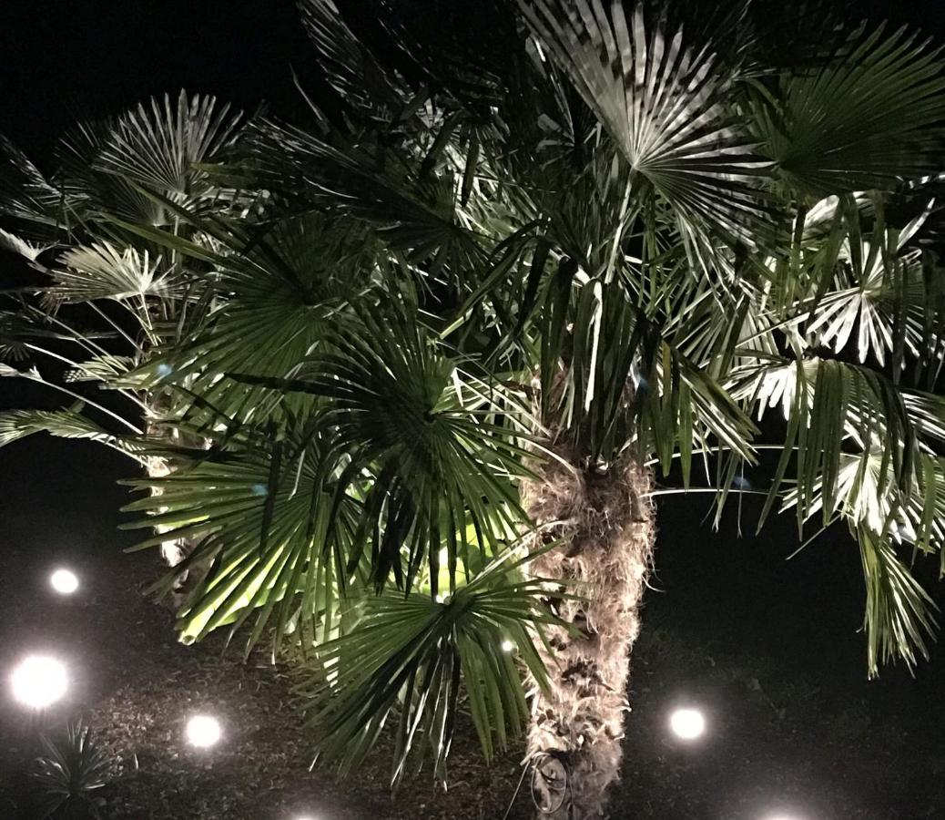 Ferienwohnung Palmengarten Lichtenstein  Kültér fotó