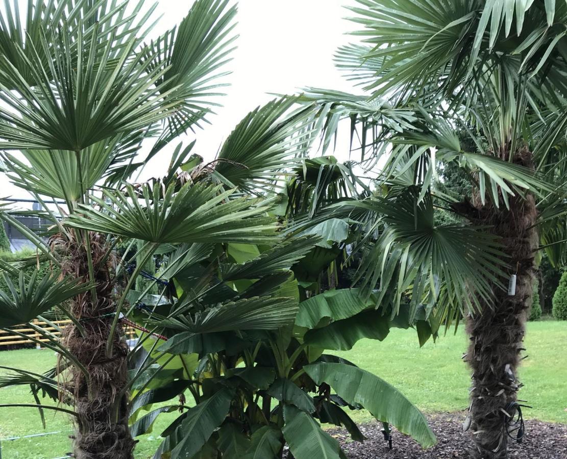 Ferienwohnung Palmengarten Lichtenstein  Kültér fotó