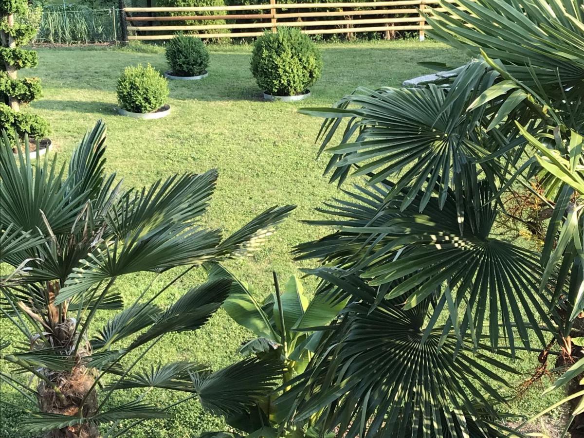 Ferienwohnung Palmengarten Lichtenstein  Kültér fotó
