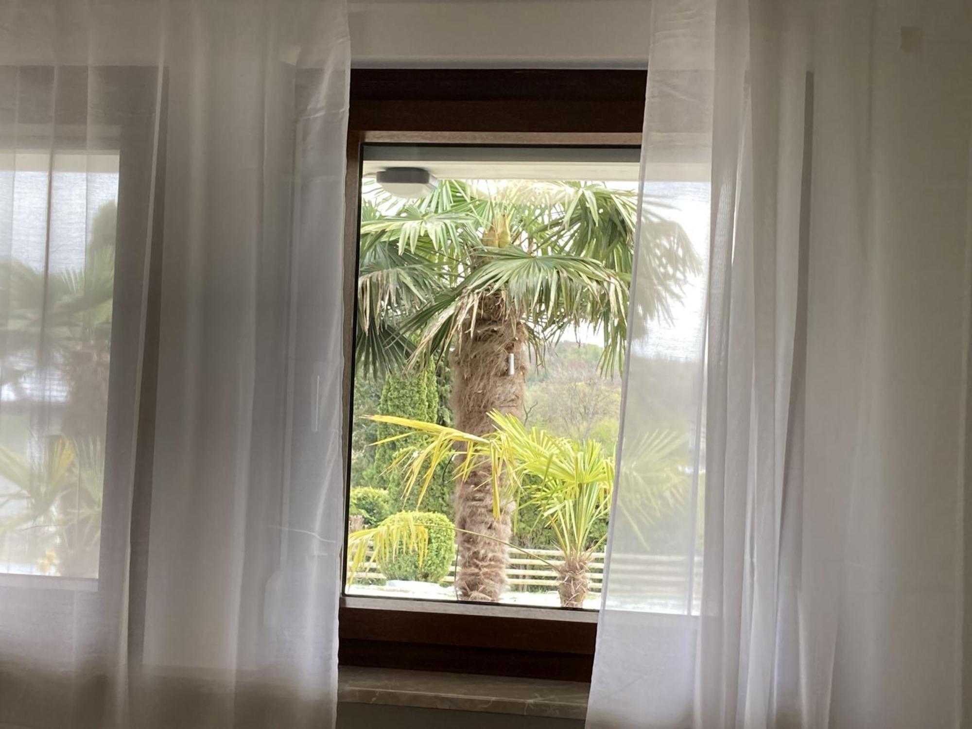 Ferienwohnung Palmengarten Lichtenstein  Kültér fotó